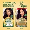 Produto 336440
