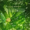 Produto 26050