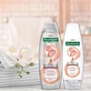 Produto 35076