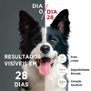 Produto 8