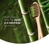 Produto 455513