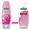 Produto 43458