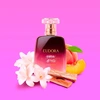 Produto 290297