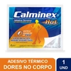 Produto 47527