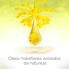 Produto 11351