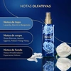 Produto 3262893