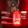 Produto 3336005