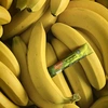 Produto 20904