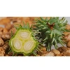 Produto 28252