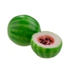 Produto 832628