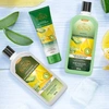 Produto 242225