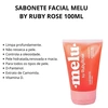 Produto 100667