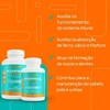 Produto 21766
