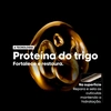 Produto 3015839