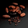 Produto 24352