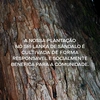 Produto 32847