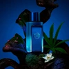 Produto 7850082
