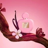 Produto 24529