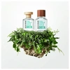 Produto 7795