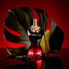 Produto 32970