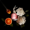 Produto 15068