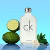 Produto 29906