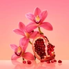 Produto 15146