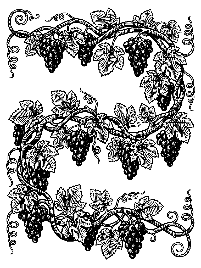 Vine & Grape laser engraving Style DNA reference