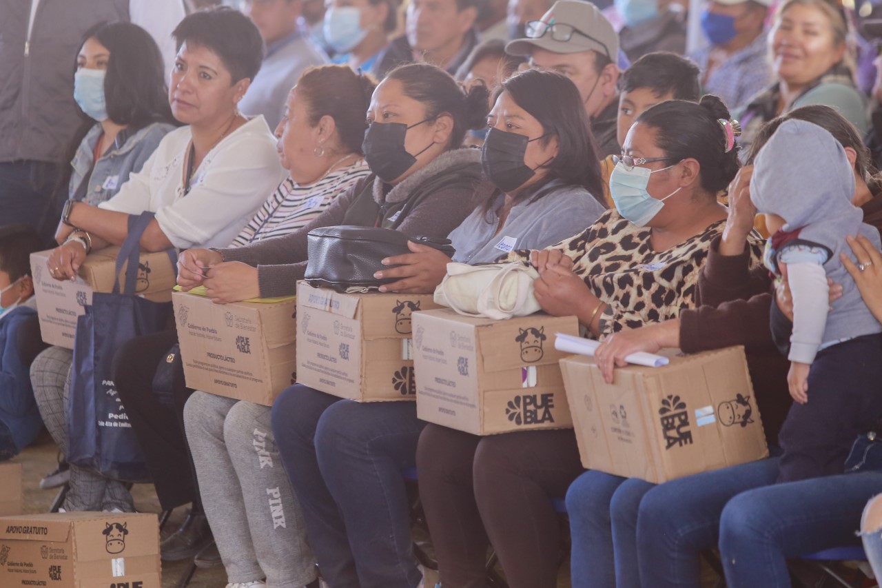 Apoyo Gobierno de Puebla