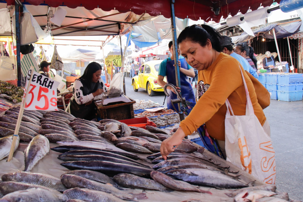 Puebla es ya distribuidor regional de productos del mar - Reto Diario