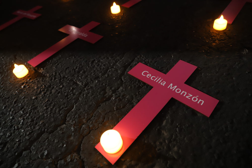 Las aristas de la Ley Monzón
