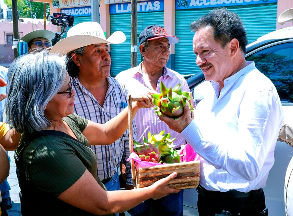 ignacio-mier-velazco-tlacotepec