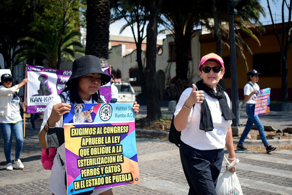 manifestacion-animalistas-puebla