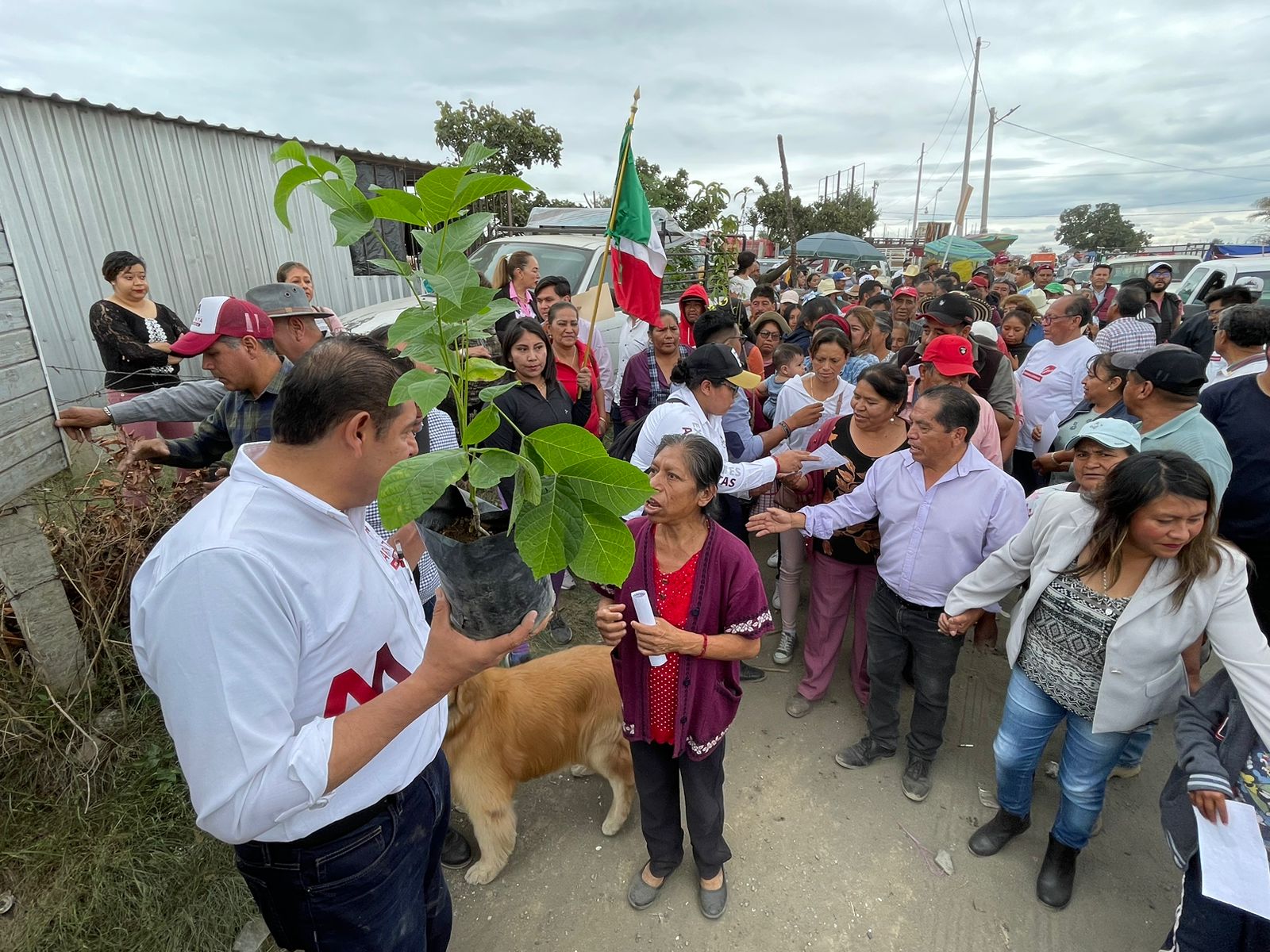 Alejandro Armenta