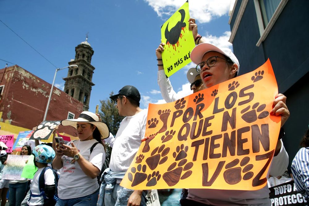 marcha-contra-el-maltrato-animal-puebla