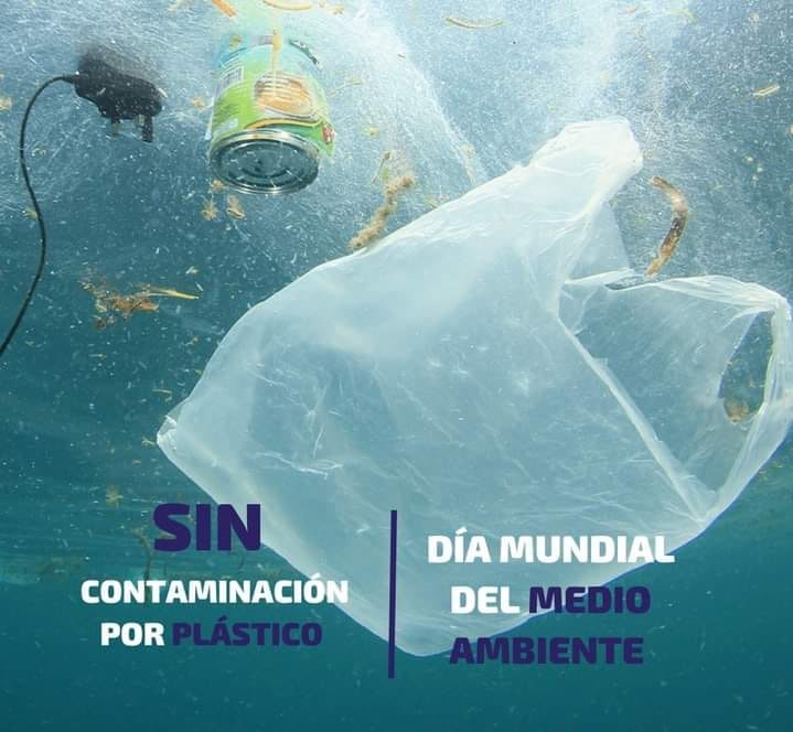 Día Mundial del Medio Ambiente