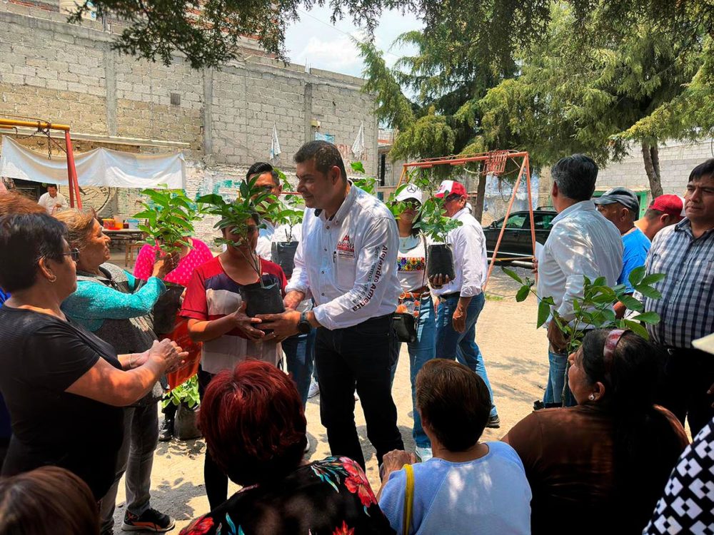 alejandro-armenta-arboles-frutales-sembremos-esperanza