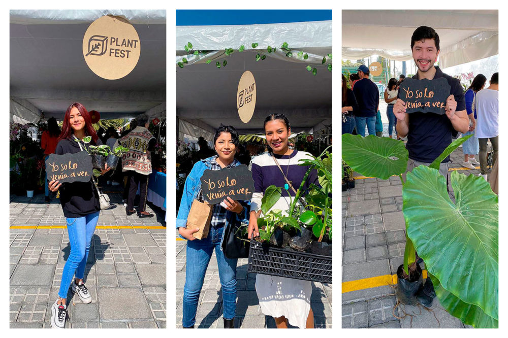 plant-fest-de-cholula