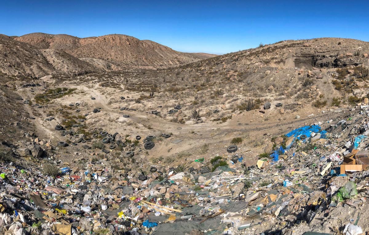 Día Mundial del Medio Ambiente