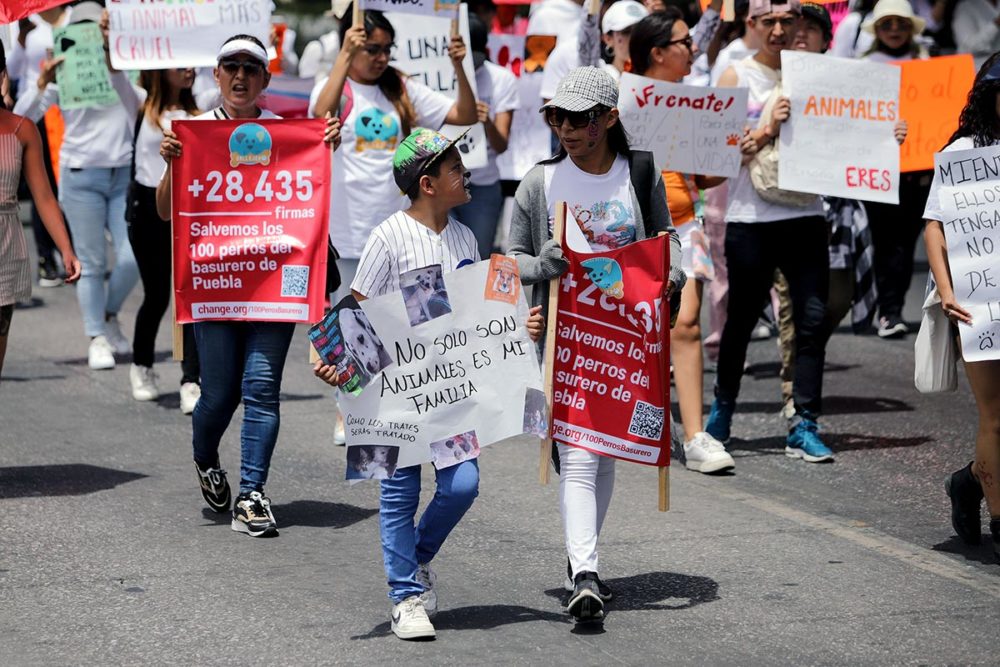 marcha-contra-el-maltrato-animal-puebla