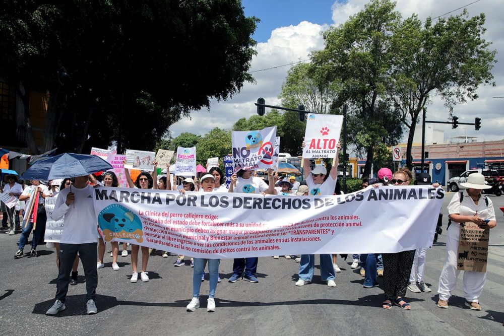 marcha-contra-el-maltrato-animal-puebla