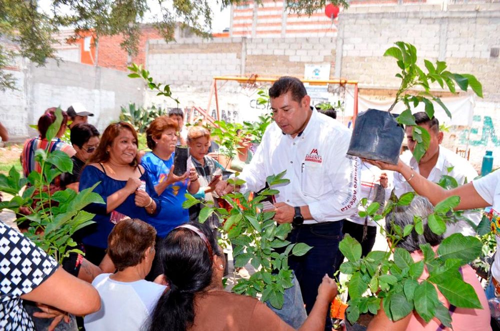 alejandro-armenta-arboles-frutales-sembremos-esperanza