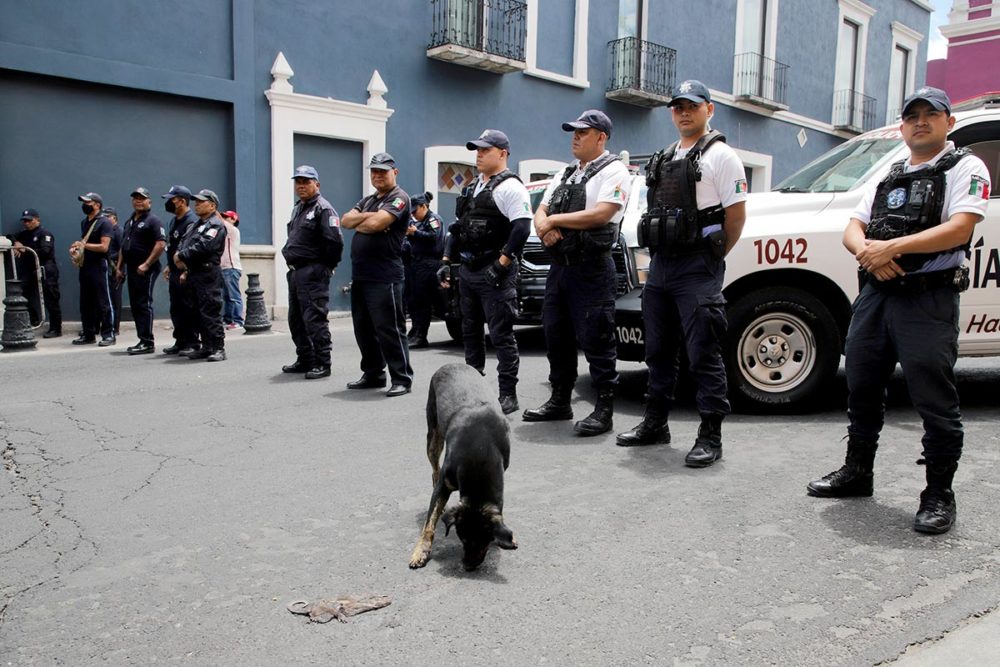 marcha-contra-el-maltrato-animal-puebla