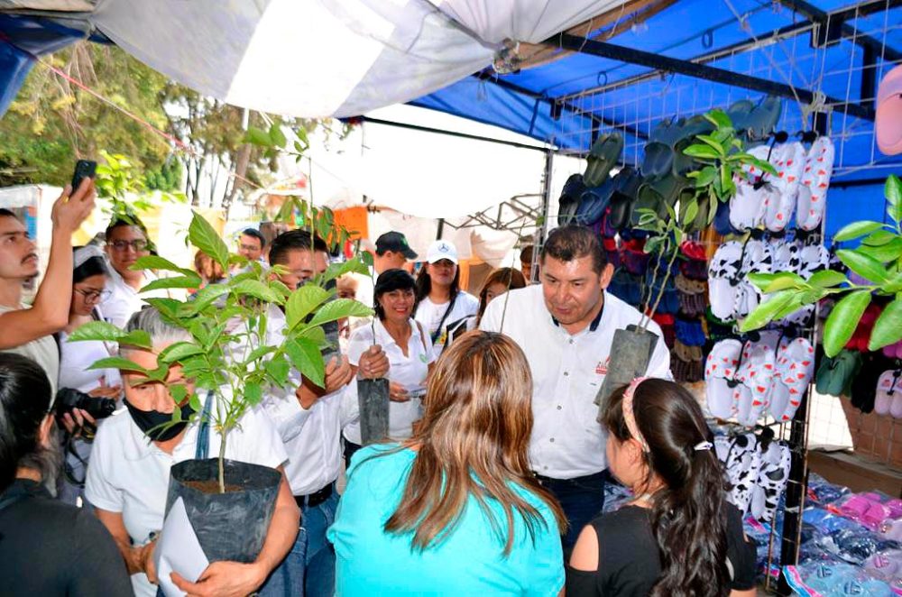 alejandro-armenta-arboles-frutales-sembremos-esperanza