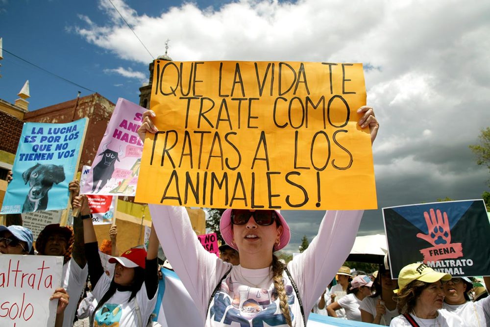 marcha-contra-el-maltrato-animal-puebla