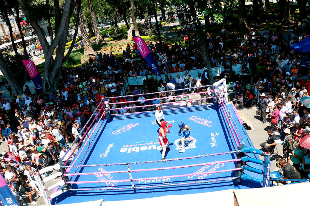 torneo-de-barrios-de-box-puebla