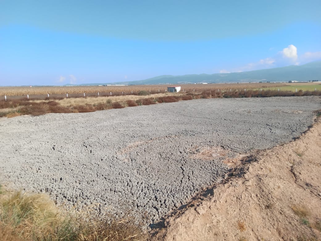 Biofertilizante de Granjas Carroll beneficia a más de 50 productores