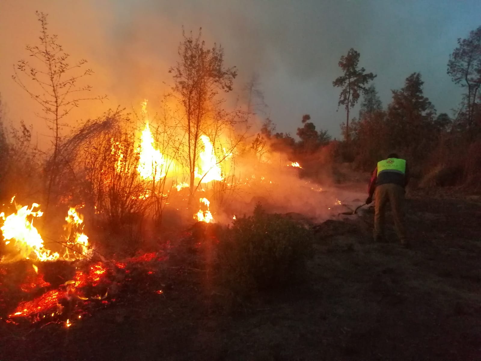 Incendios forestales