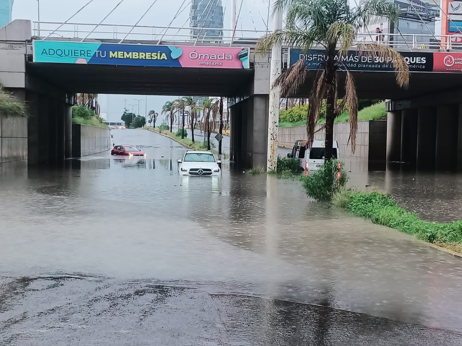 Tormenta eléctrica