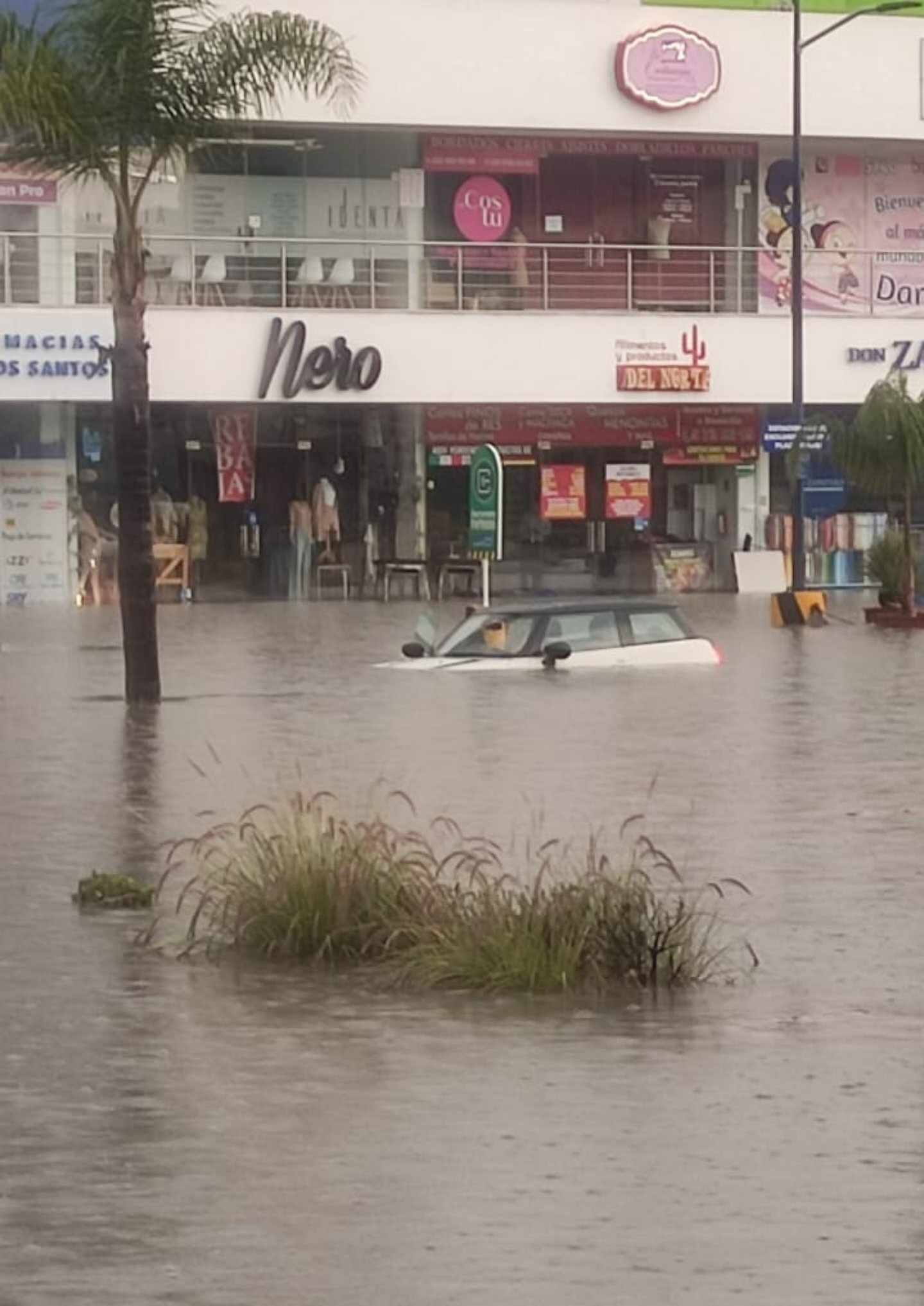 Tormenta eléctrica